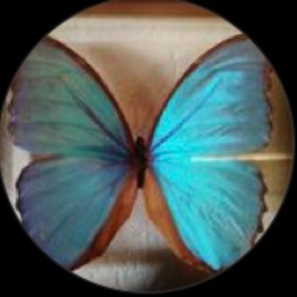 Meet your Posher, Allison - Picture 5 of 9